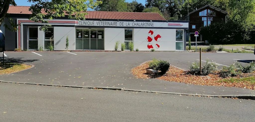 Selarl Clinique Vétérinaire - photo 1
