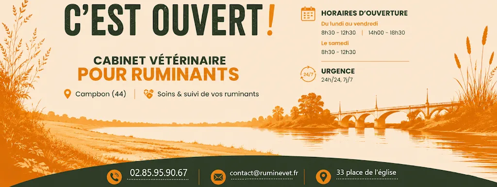 Ruminevet - photo 2