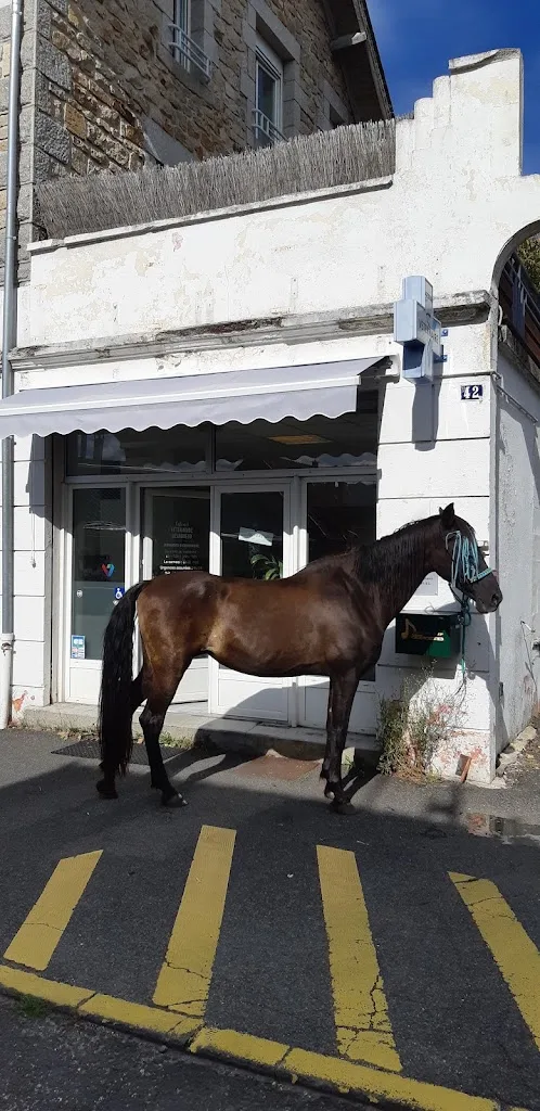 Dr Jaffuel Aimée - photo 1