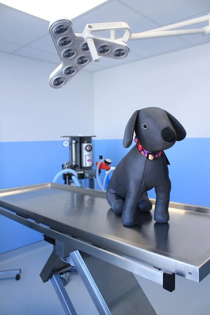Clinique Vétérinaire Des Plateaux - photo 1