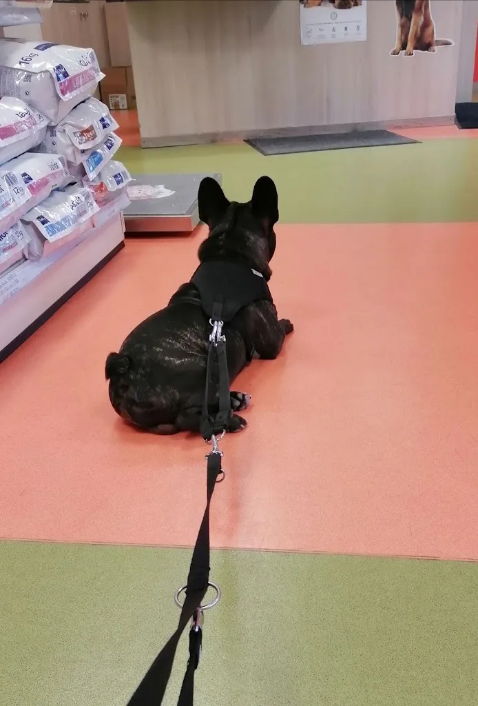 Clinique vétérinaire Chab'leman vet Douvaine - photo 2