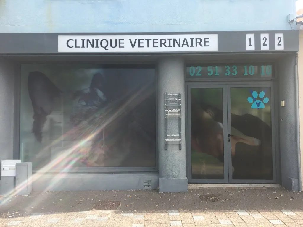 Clinique Vétérinaire Vet'Achards - photo 2