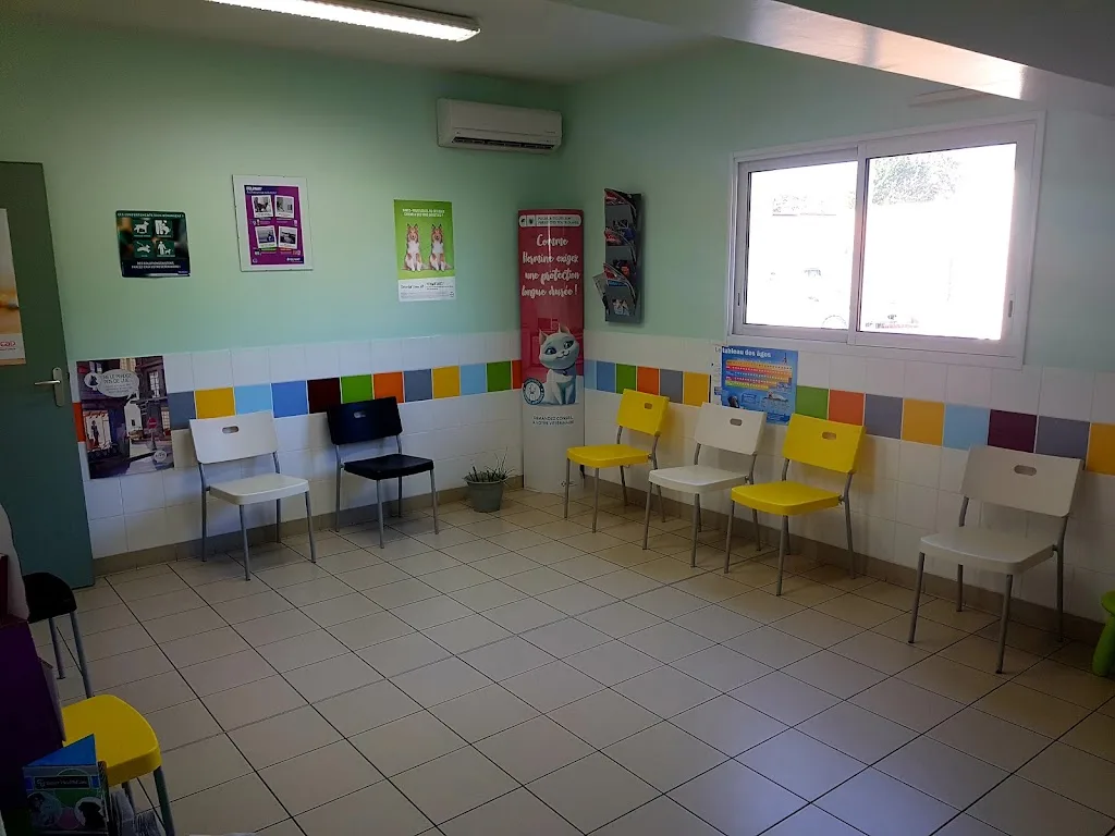 Clinique Vétérinaire Vet'Achards - photo 3