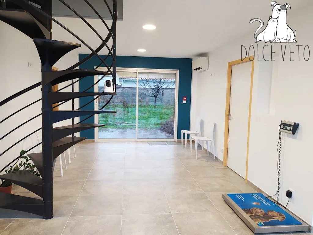 Dolce Véto - photo 2