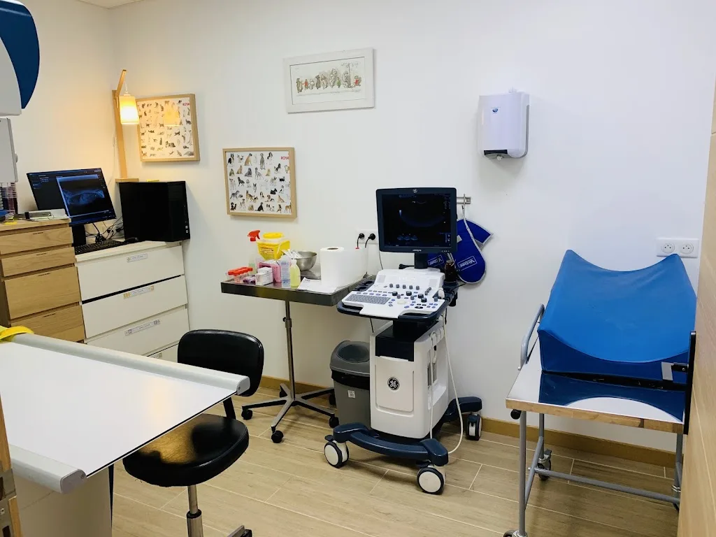 Clinique vétérinaire des Baous - photo 2