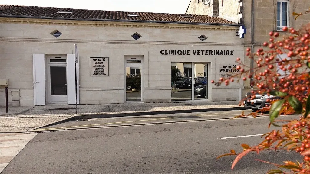 Clinique Vétérinaire VPLUS de Blaye - photo 2