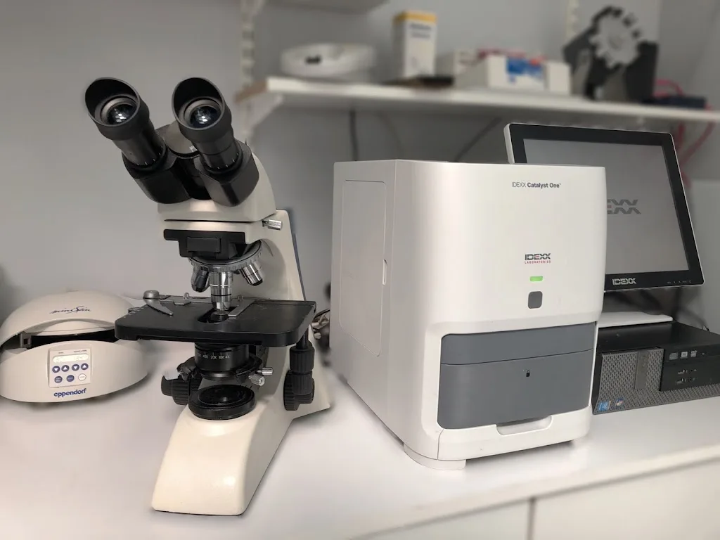 Clinique Vétérinaire Corneille - photo 1