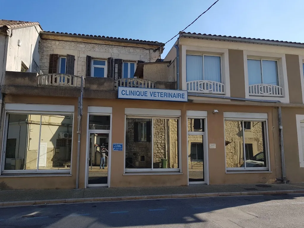 Clinique Vétérinaire d'Eyragues - Dr Prothon - photo 2