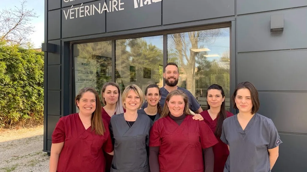 Clinique Vétérinaire d'Eyragues - Dr Prothon - photo 3