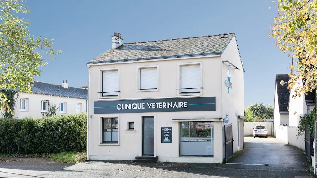 Clinique Vétérinaire des Hauts de St-Aubin - photo 3