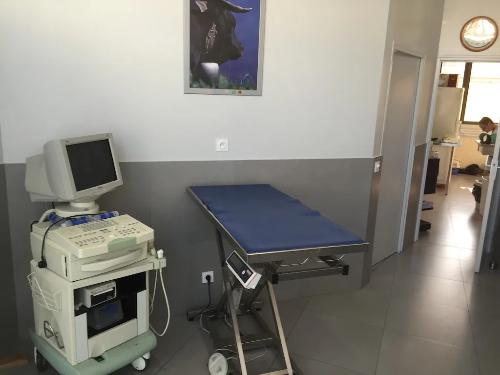 Clinique Vétérinaire Monveto des Docteurs Driesen et Versyck - photo 2