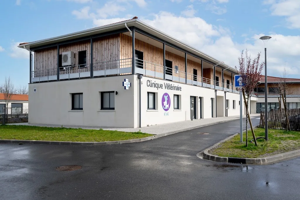 DV Typhaine Tissot vétérinaire équin bassin d’Arcachon - photo 1
