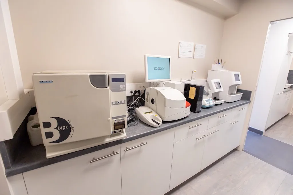 Clinique Vétérinaire La Rose des Vents - photo 1