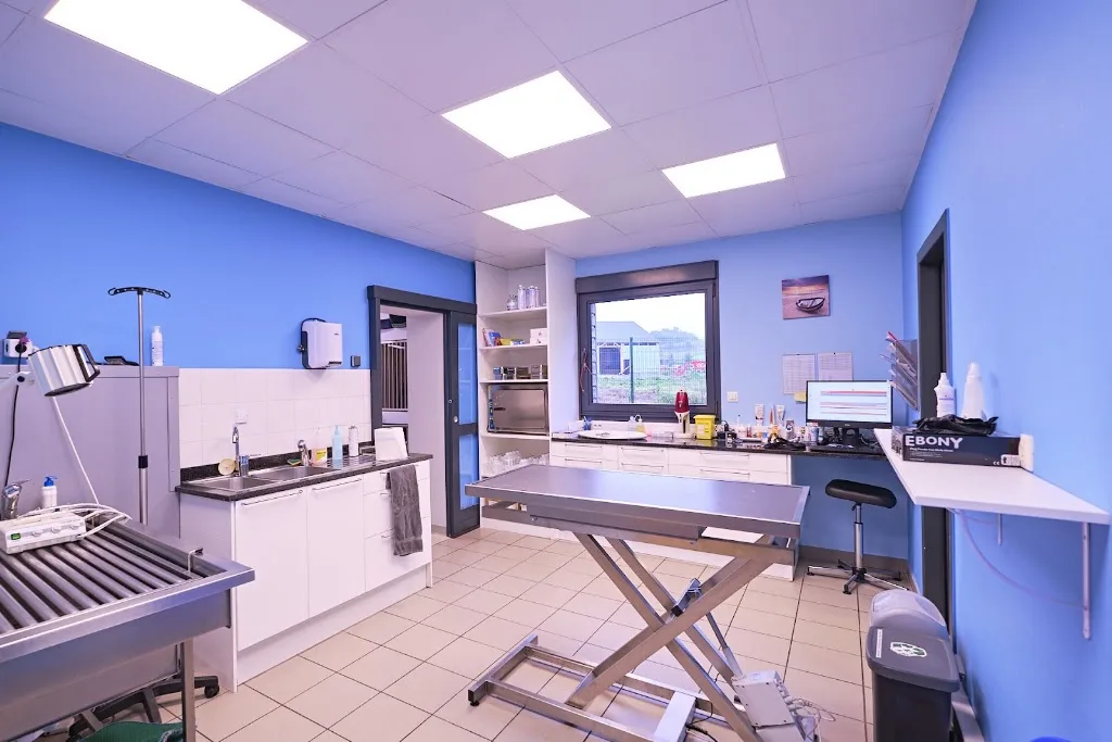 Cabinet Vétérinaire Docteur Dupont - photo 3
