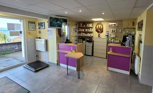 Clinique Vétérinaire Univet Publier - Gentianes - photo 2