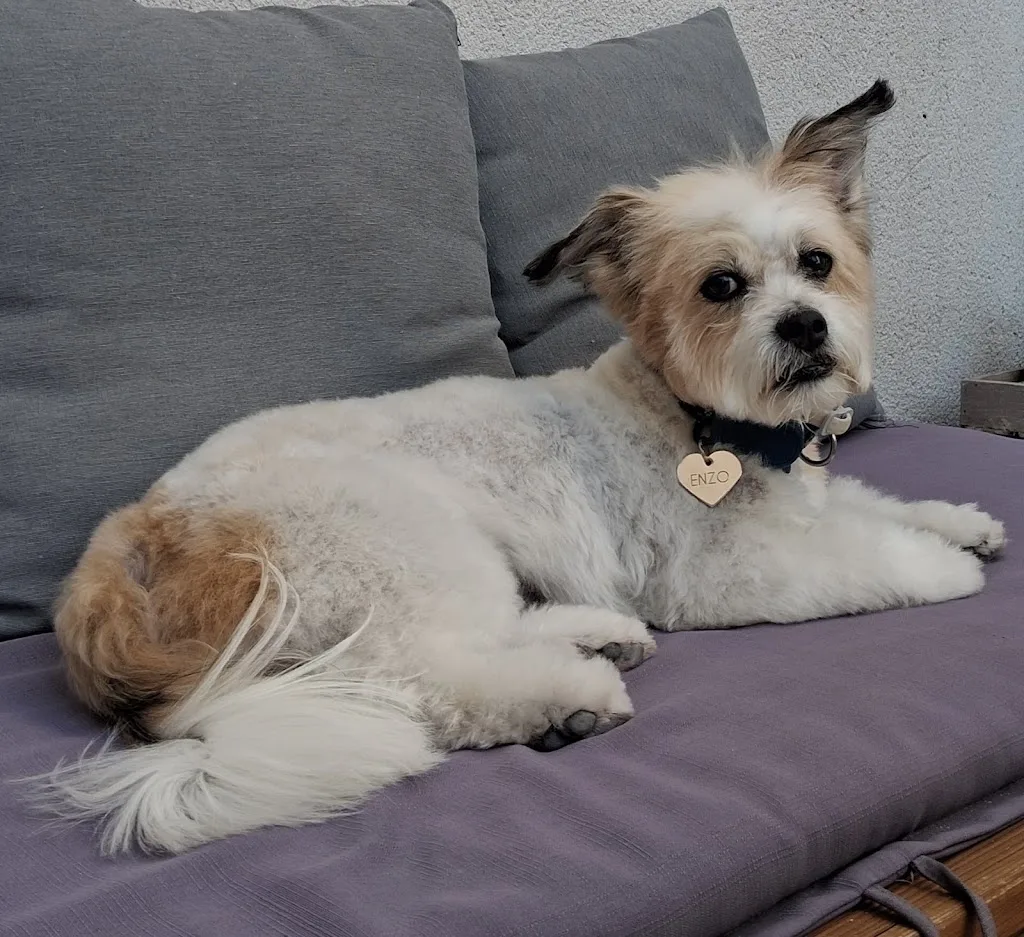 Vet'Santé - photo 2
