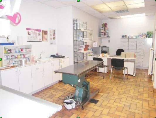 Cabinet Vétérinaire du Centre - Docteur M.Plateaux - photo 2