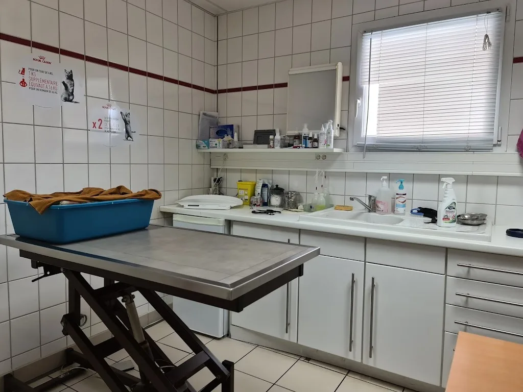 Charles-Francois LOUF docteur veterinaire - photo 2