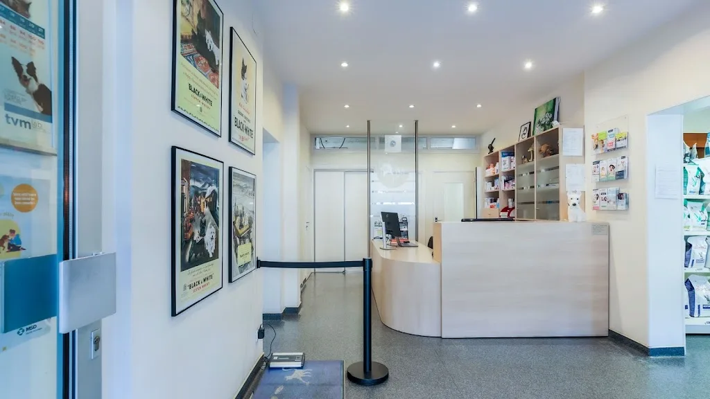 Clinique Vétérinaire Argos Rozérieulles - photo 1