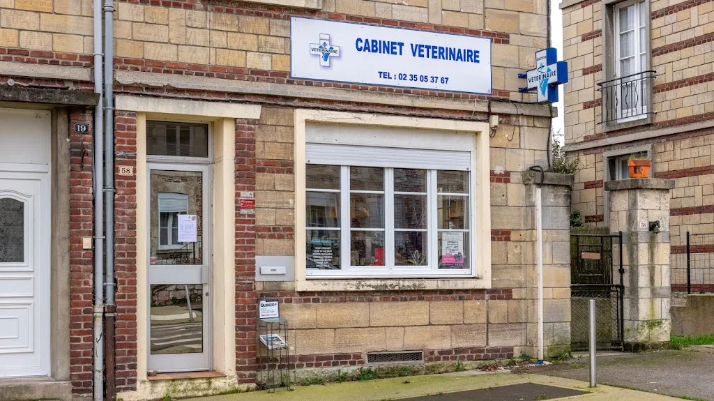 L Véto Cabinet Vétérinaire - photo 1