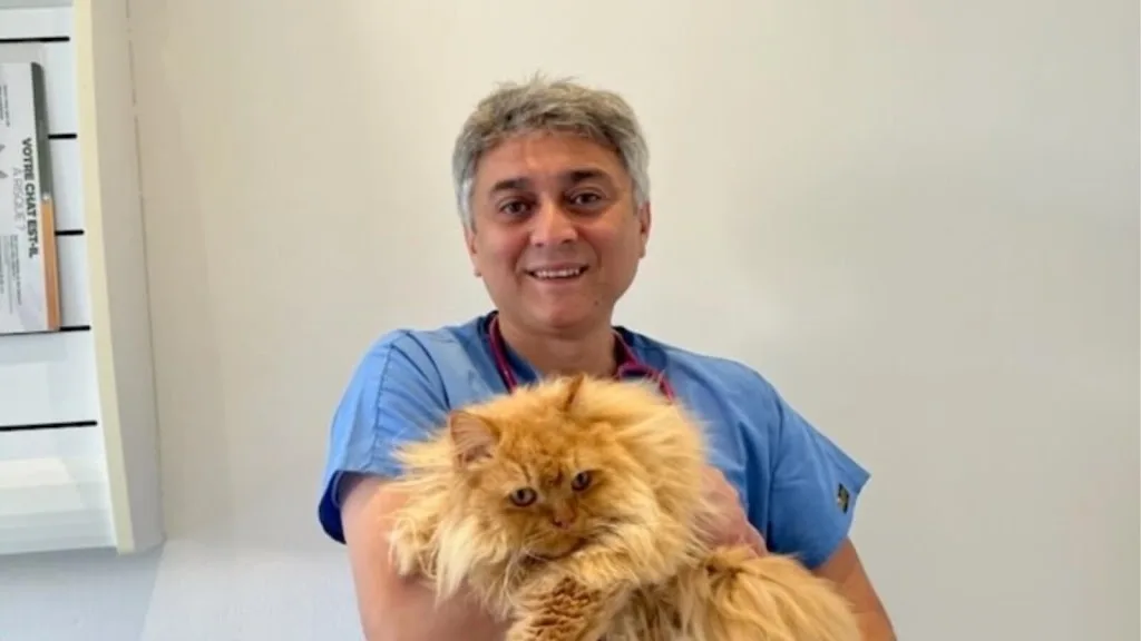 Vet à dom 57 - Dr Sahin -Vétérinaire à domicile - Metz et alentours - Vétérinaire- - photo 1