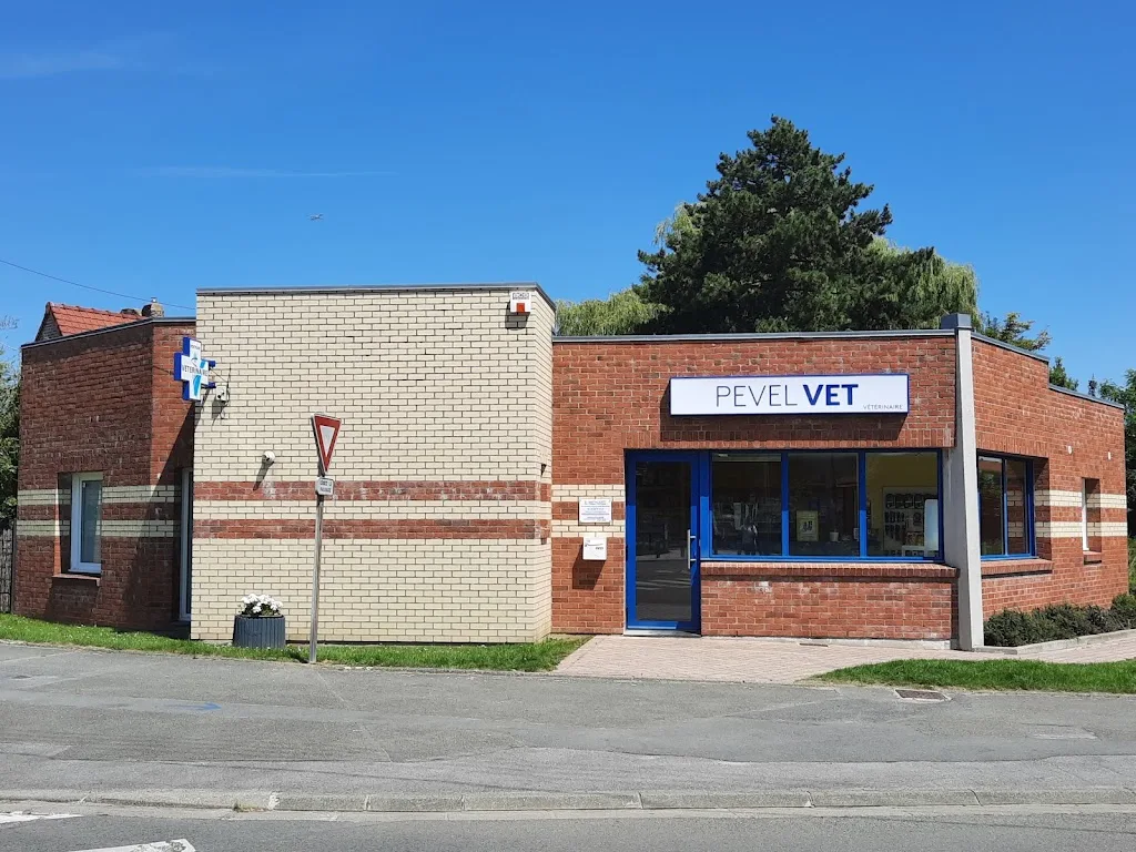 Hubert Thomas Clinique Vétérinaire Saint Calixte - photo 1