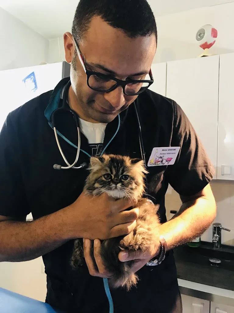Dr Brahimi Mehdi - photo 1