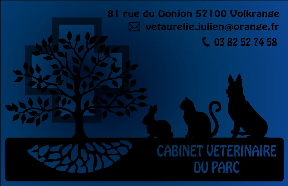 Cabinet Vétérinaire du Parc Julien Aurélie - photo 2