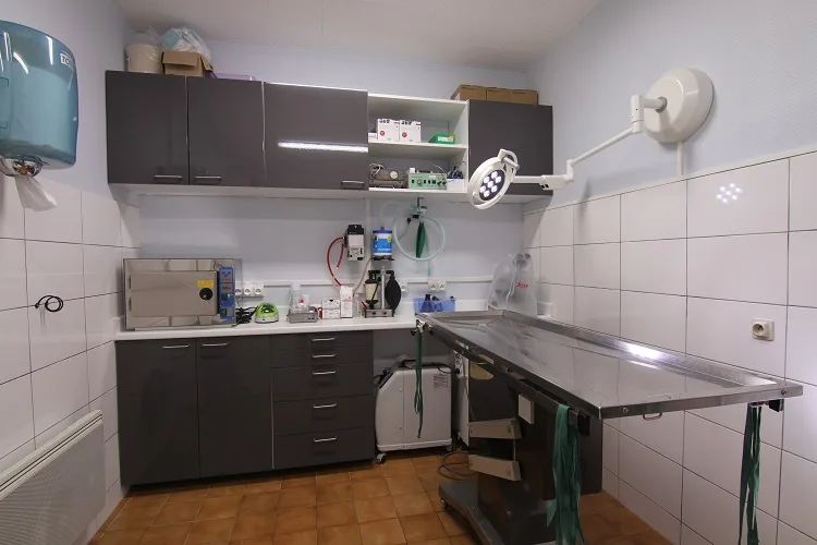 Cabinet Vétérinaire De L'Eglise - photo 3