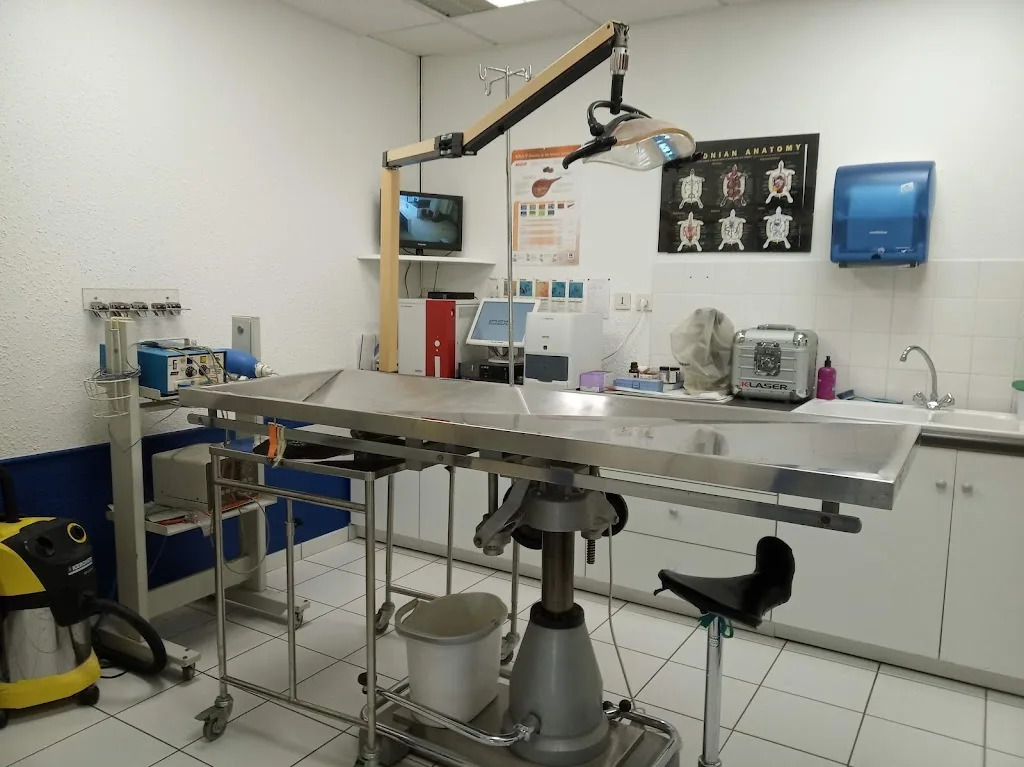 Clinique Vétérinaire du Barriot des Docteurs Bibard et Cotasson - photo 3