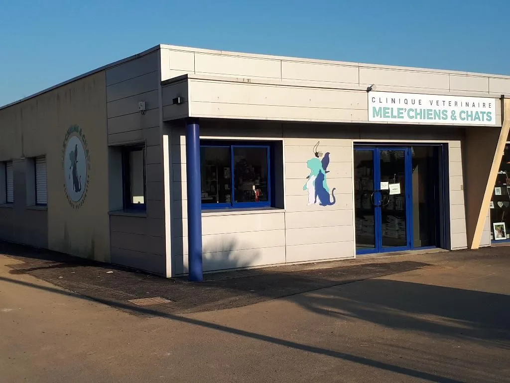 Clinique vétérinaire des Mele'chiens et chats - photo 2