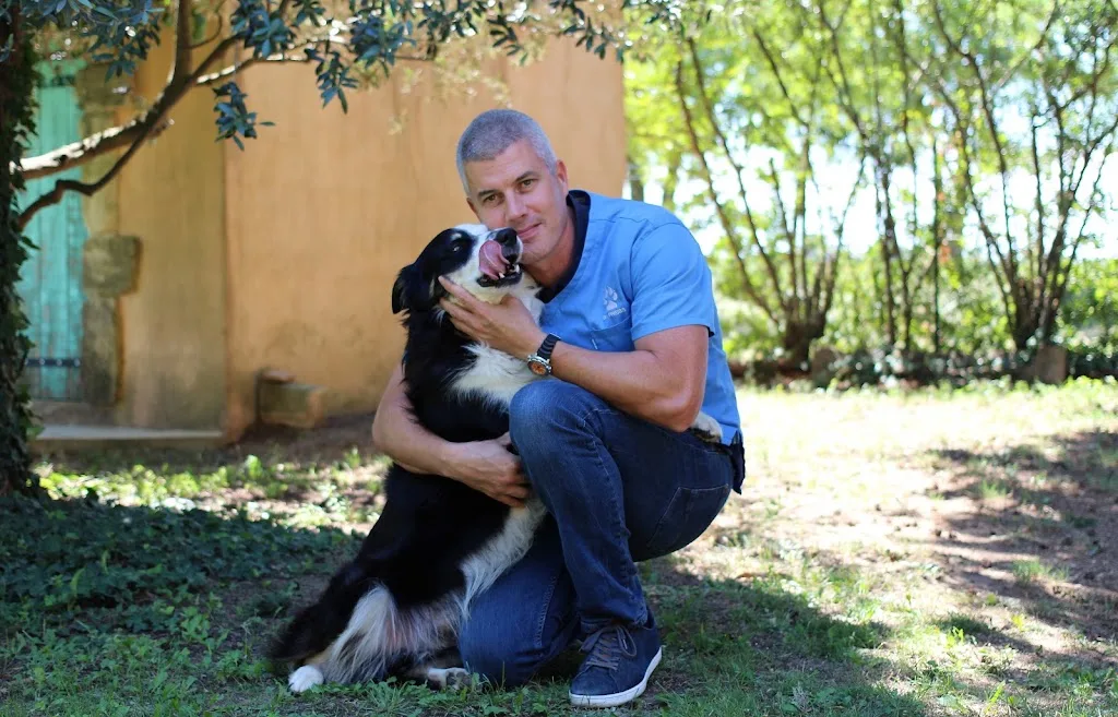 clinique veterinaire des costières manduel - photo 2