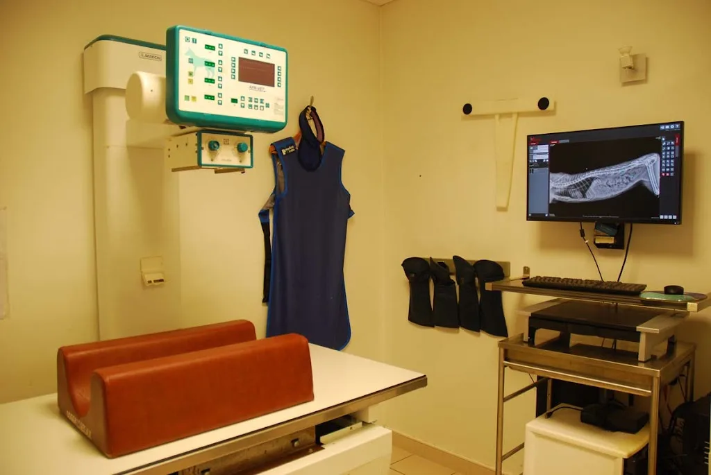 Clinique Vétérinaire de la Terrasse - photo 1