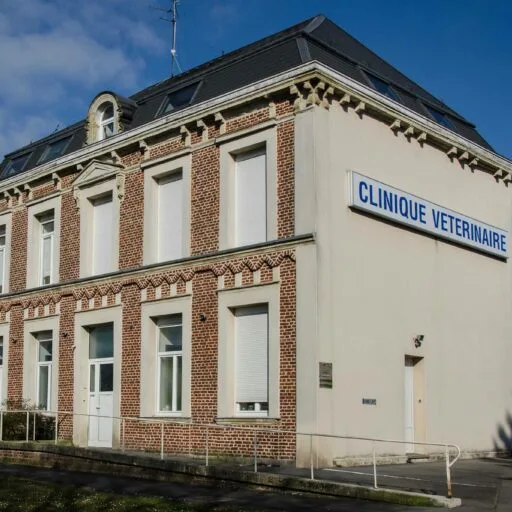 Cabinet vétérinaire de la Pyramide - photo 1