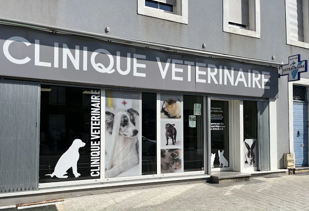 Clinique Vétérinaire du Grand cerf (sur rdv) - photo 2
