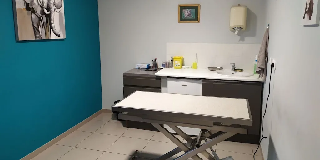 Clinique Vétérinaire Des Tilleuls - photo 3