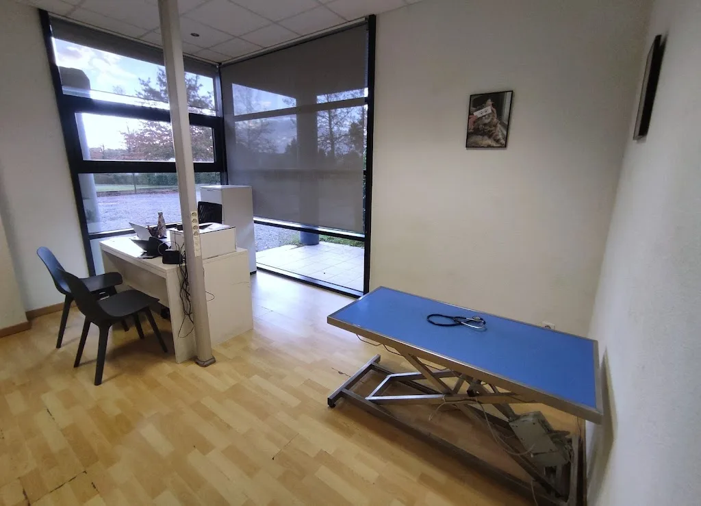Clinique vétérinaire VET&SPHÈRE - photo 3