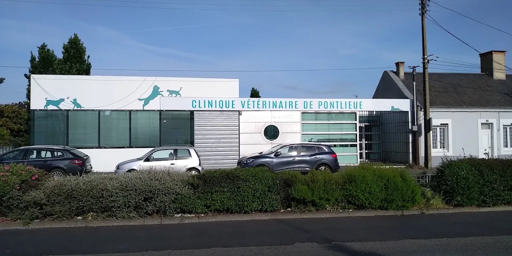Clinique Veterinaire - photo 3