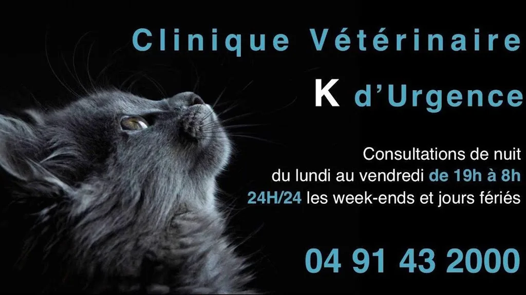 Cabinet Veterinaire - photo 1