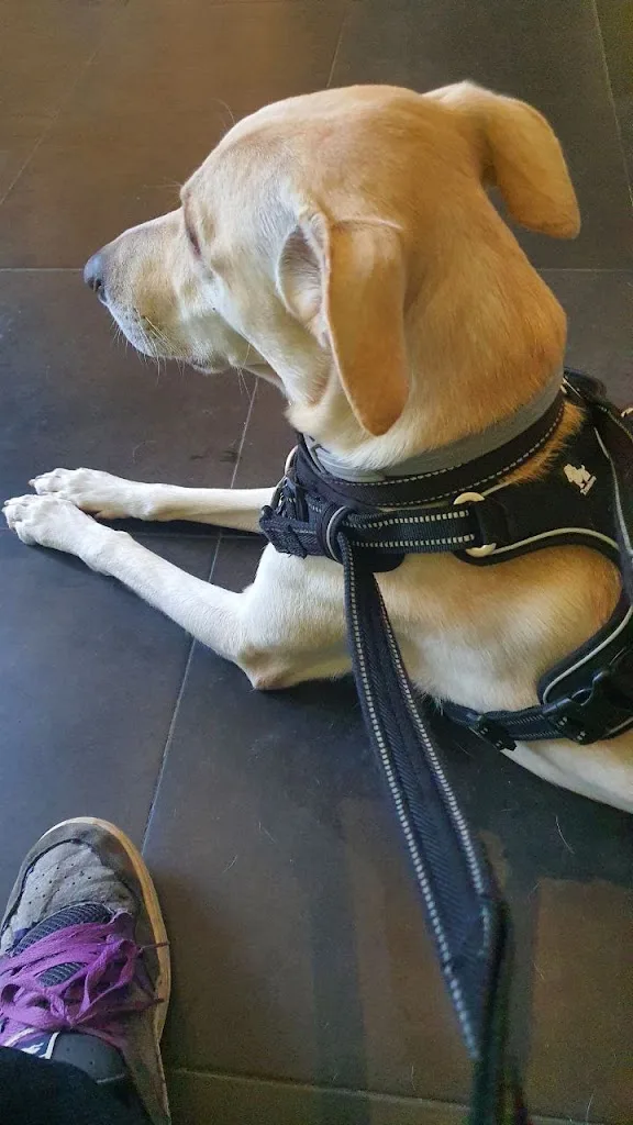 Cabinet Veterinaire - photo 3