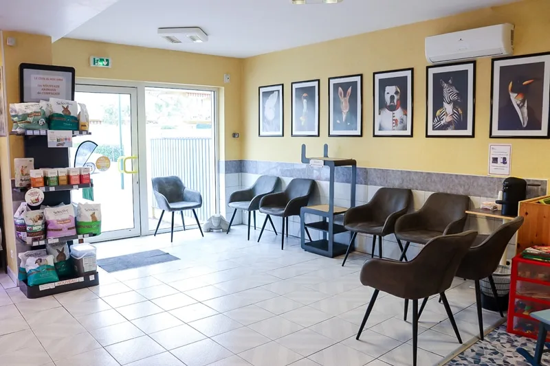Clinique OLBIA - Vétérinaire Hyères - photo 2