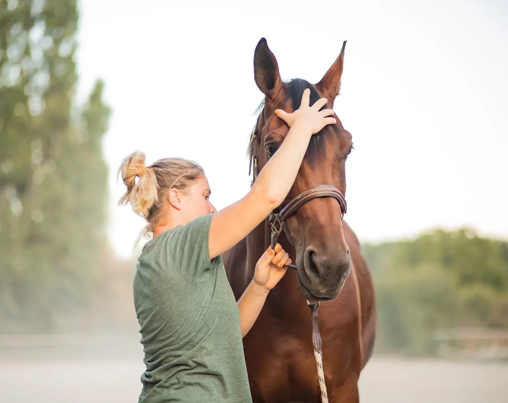 Complexe le Colibri - Centre de soins et de remise en forme pour animaux 💦 - photo 1