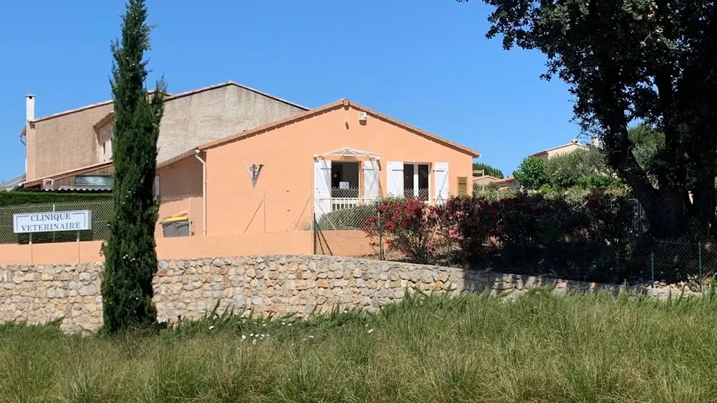 Clinique Vétérinaire Des Lavandes - photo 1