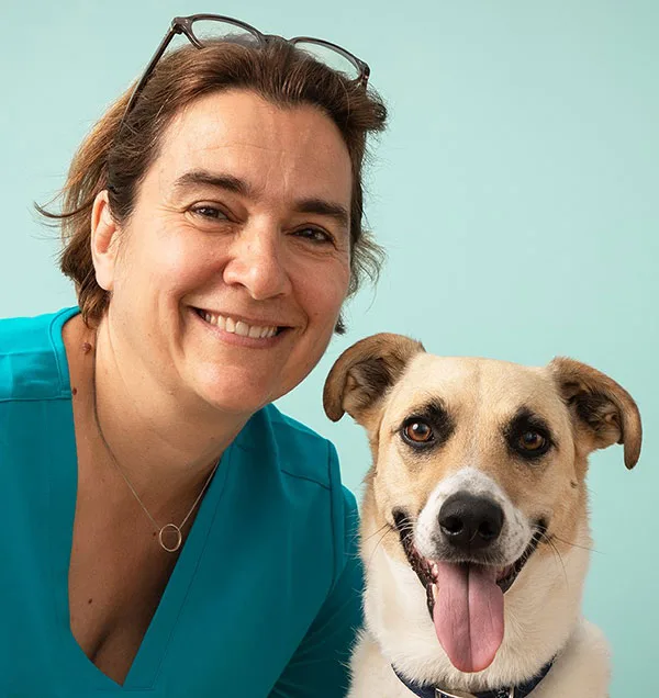 Dr Isabelle Lussot-Kervern Vétérinaire - photo 1