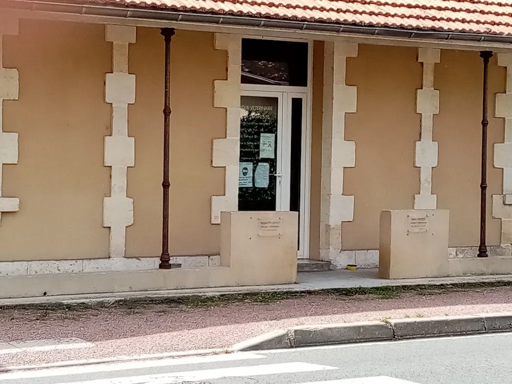 Clinique Vétérinaire Vet'Estey du Porge - photo 3