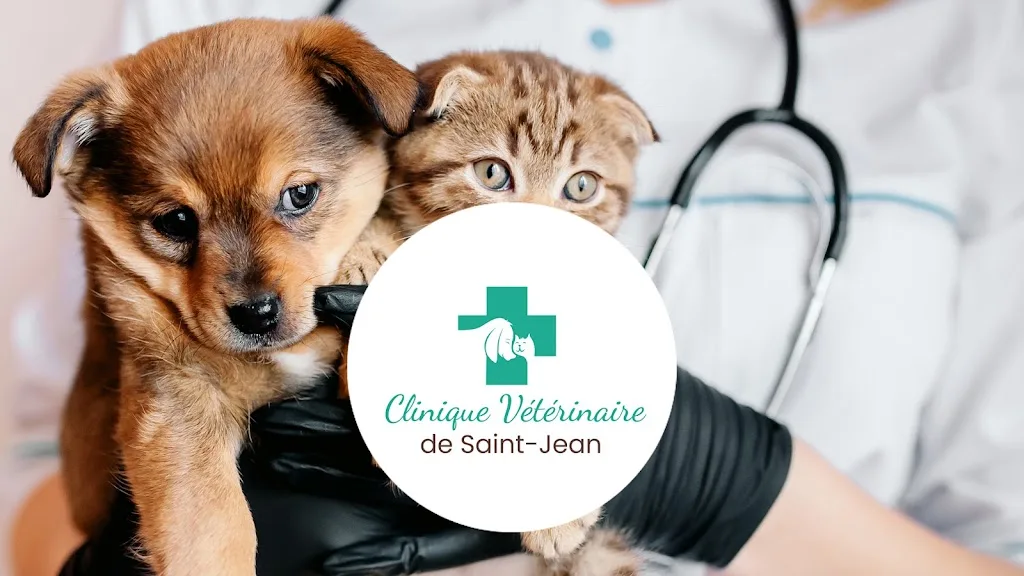 Clinique vétérinaire de Saint-Jean - photo 1