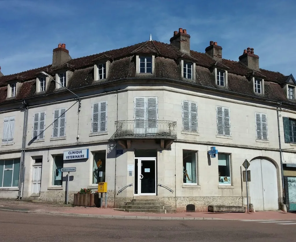 Cabinet Vétérinaires Brinon Tannay SCP - photo 3