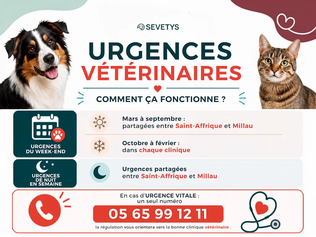 Clinique vétérinaire de Saint-Affrique - Sevetys - photo 1