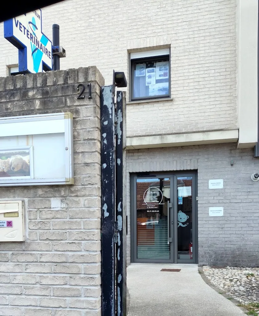 Clinique vétérinaire du camp du drap d’or - photo 1