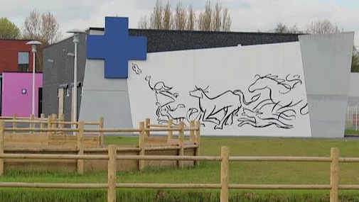 Clinique vétérinaire du camp du drap d’or - photo 3